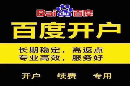百度竞价赚钱的技巧与成功案例探讨